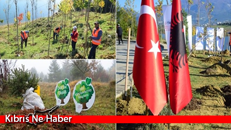 Binlerce fidan toprakla buluştu