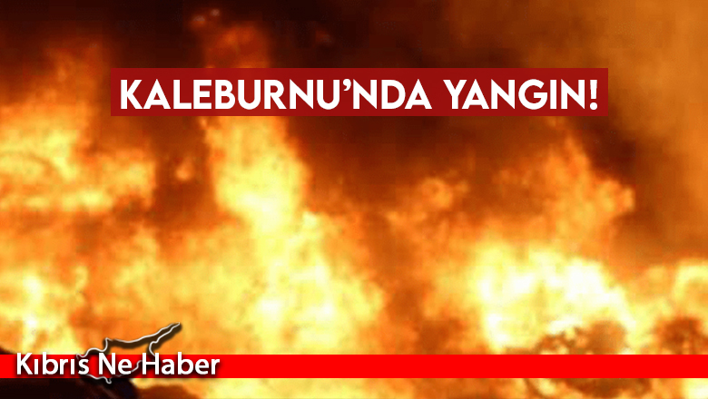 Kaleburnu’nda yangın!
