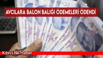 Avcılara balon balığı ödemeleri ödendi