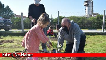 Taşkınköy’e fidan dikildi