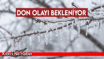 Yarın ve cuma yer yer don bekleniyor…