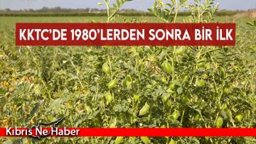 KKTC’de 1980’lerden sonra bir ilk