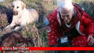 Sekiz yavru köpek yakılarak öldürüldü