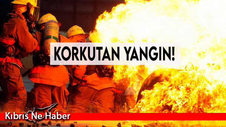 Ağaçlar ve balyalar cayır cayır yandı