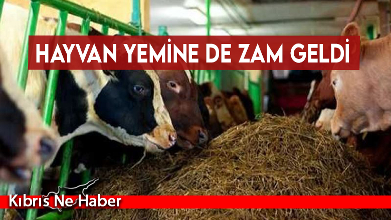Zam sonrası süt ürünleri de yeniden zamlanacak…