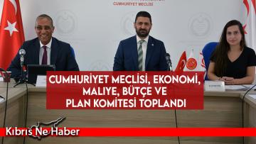 Cumhuriyet Meclisi, Ekonomi, Maliye, Bütçe ve Plan Komitesi toplandı