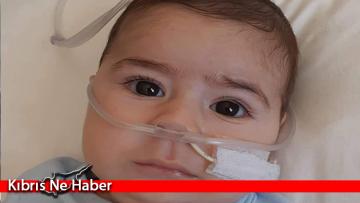 Girne de Karel bebek için el ele verecek
