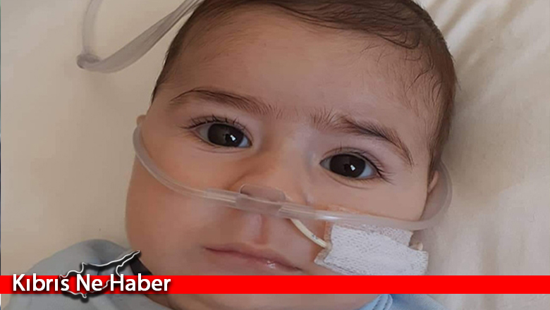 Girne de Karel bebek için el ele verecek