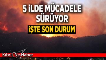 5 ilde yangınla mücadele sürüyor (Adana, Osmaniye, Antalya, Mersin ve Muğla’da orman yangınları)