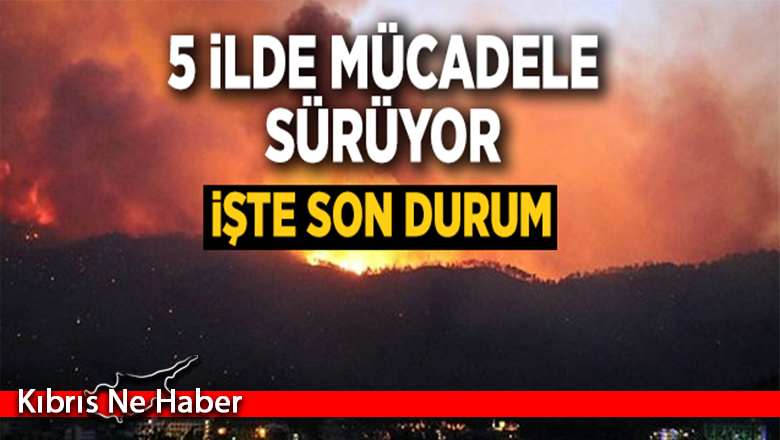 5 ilde yangınla mücadele sürüyor (Adana, Osmaniye, Antalya, Mersin ve Muğla’da orman yangınları)