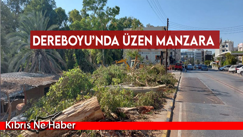 Dereboyu’nda üzen manzara