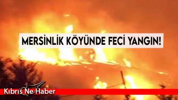 Mersinlik köyünde feci yangın!