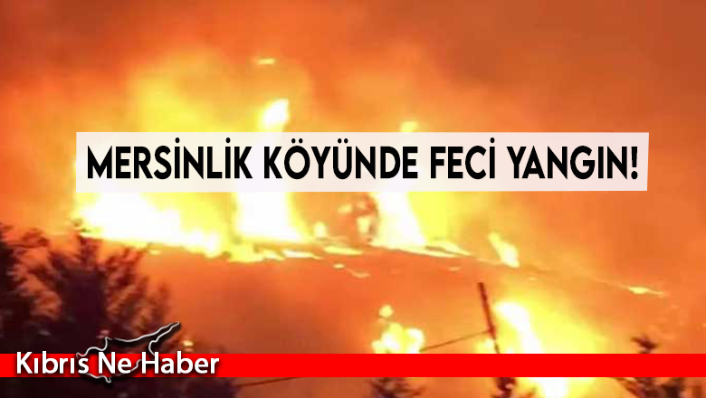 Mersinlik köyünde feci yangın!