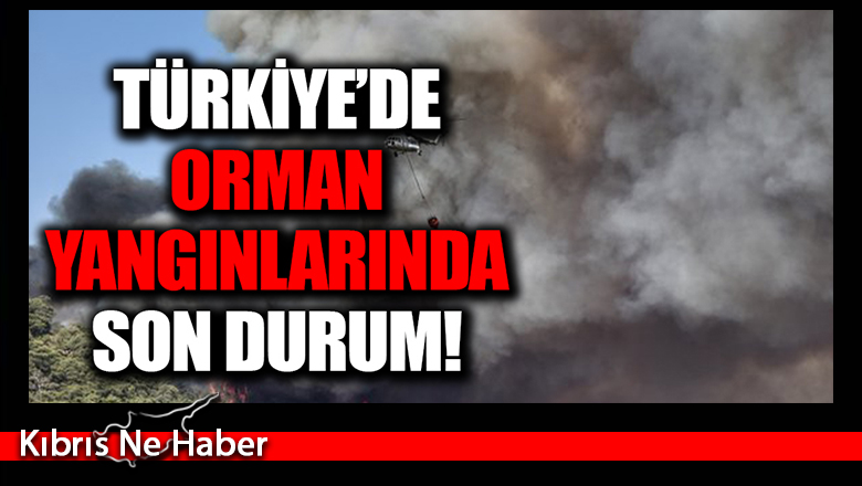 Türkiye’deki orman yangınlarında son durum