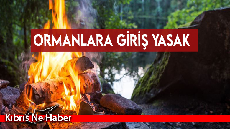 Ormanlara giriş yasak