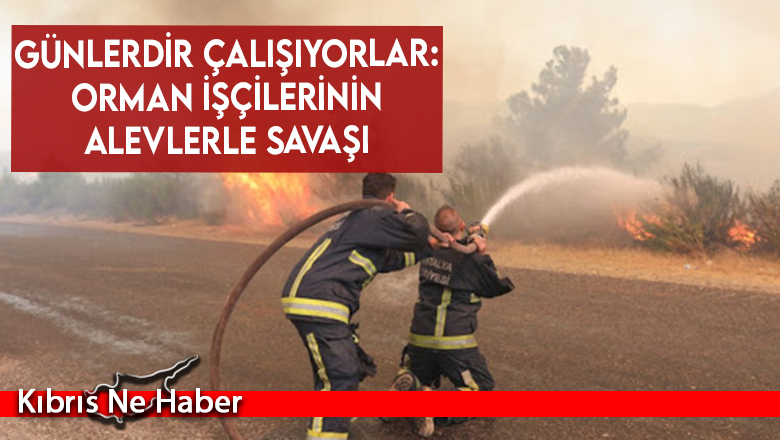 Günlerdir çalışıyorlar: Orman işçilerinin alevlerle savaşı