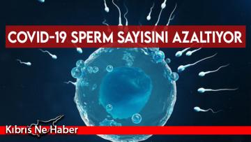 Covid-19 sperm sayısını azaltıyor