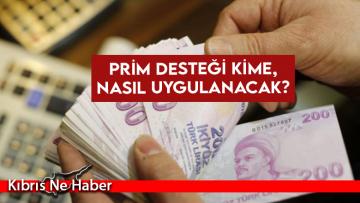 Prim desteği kime, nasıl uygulanacak?