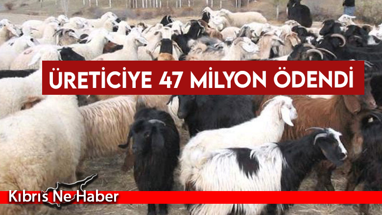 Üreticiye 47 milyon ödendi