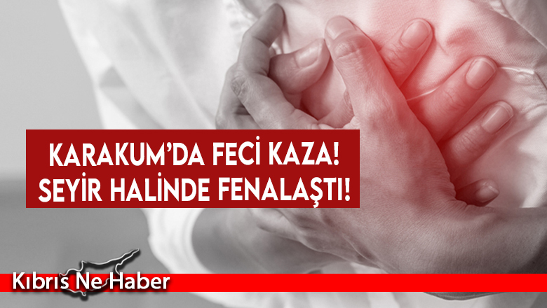 Seyir Halinde Fenalaştı!