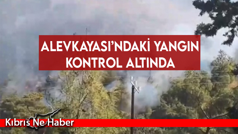 Alevkayası’ndaki yangın kontrol altında