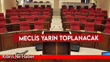 Yeni yasama yılı yarın başlıyor