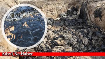 2 bin 500 ton atık 8 yıl sonra yok ediliyor