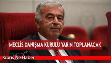 Meclis Danışma Kurulu yarın toplanacak