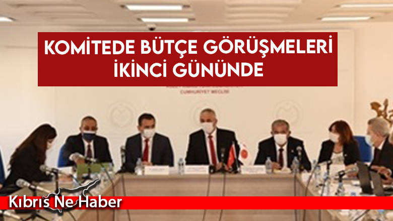 2022 Mali Yılı Bütçe Yasa Tasarısı Komitede Görüşülüyor