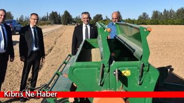 “Beşparmak” Arpa çeşidinin tohumunu çoğlatmak için ekimlere başlandı