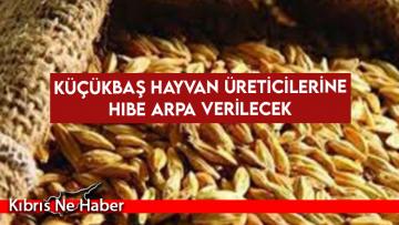 Küçükbaş Hayvan üreticilerine hibe arpa verilecek