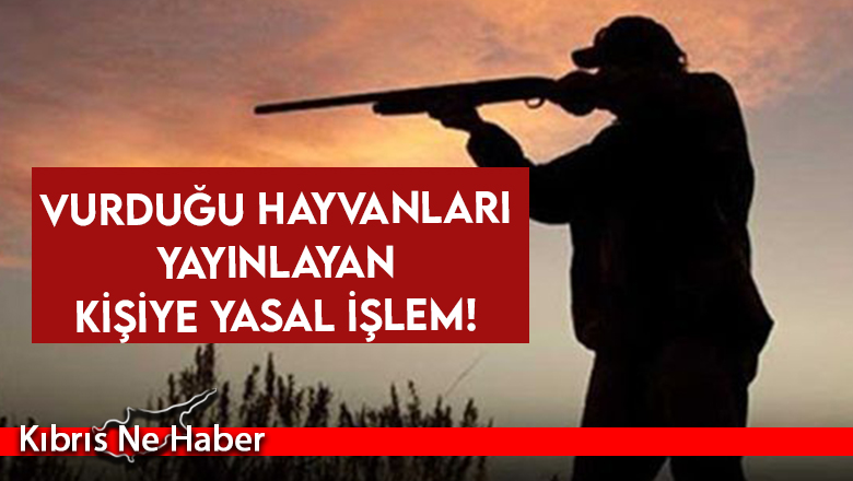 Vurduğu hayvanları yayınlayan kişiye yasal işlem!