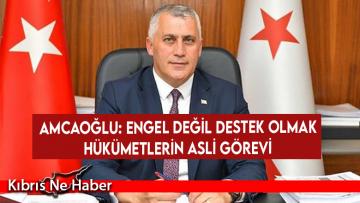Amcaoğlu: Engel değil destek olmak hükümetlerin asli görevi