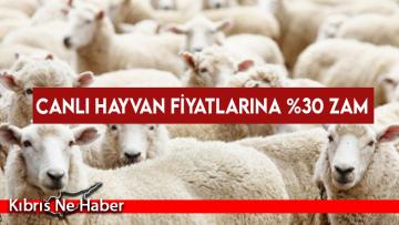 Canlı hayvan fiyatlarına Yüzde 30 zam