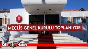 Meclis Genel Kurulu toplanıyor
