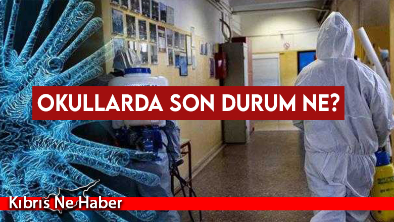 Okullardaki vaka sayıları açıklandı