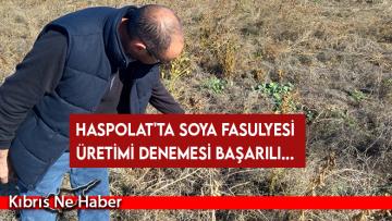 Haspolat’ta soya fasulyesi üretimi denemesi başarılı…