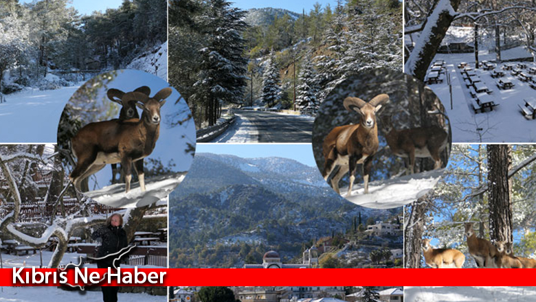 Trodos’ta beyaz örtü