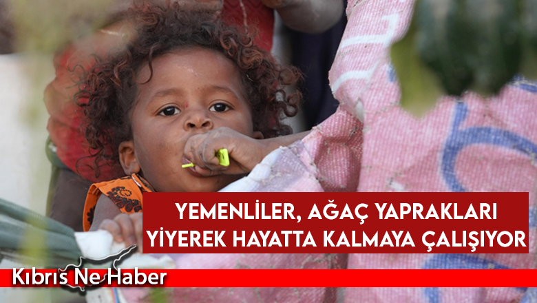 BM: Yemenliler, ağaç yaprakları yiyerek hayatta kalmaya çalışıyor