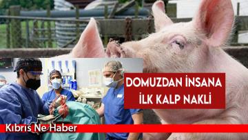 Domuzdan insana ilk kalp nakli