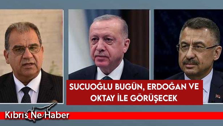 Sucuoğlu bugün, Erdoğan ve Oktay ile görüşecek