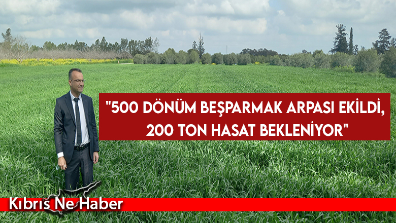 “Beşparmak” arpa çeşidinin gelişimiyle ilgili bilgiler verildi