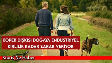 Köpek dışkısı doğaya endüstriyel kirlilik kadar zarar veriyor