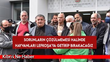 Naimoğulları: Bedel ödemekten yorulduk