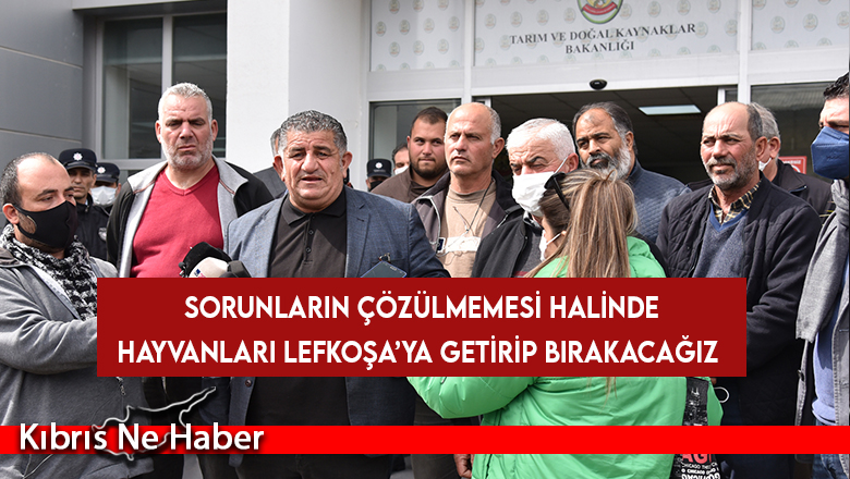 Naimoğulları: Bedel ödemekten yorulduk