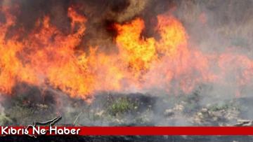 44 adet Rulo balya küle döndü.