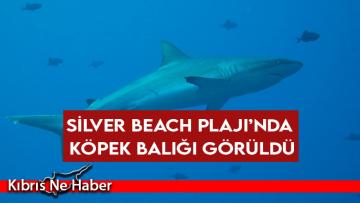 Avcı Yusuf Özür: 24 Senelik Dalışçıyım Hayatımda İlki Yaşadım