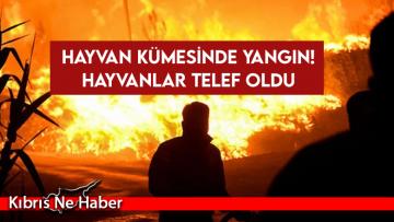 Kümeste yangın çıktı!