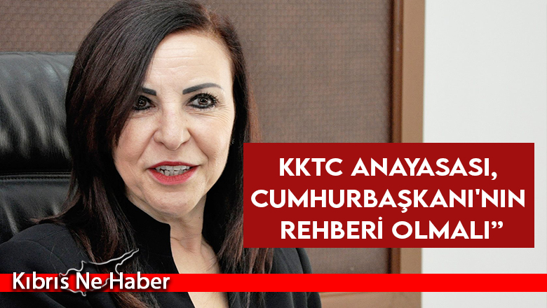 Emine Dizdarlı: Cumhurbaşkanı bağımsız hareket eder