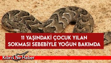 11 yaşındaki çocuk yılan sokması sebebiyle yoğun bakımda